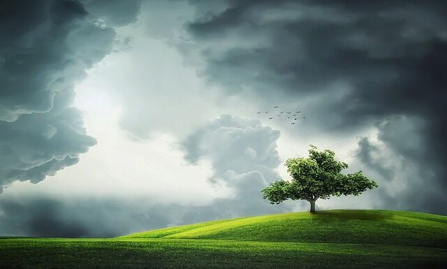 Co oznacza zielony szlak w górach?