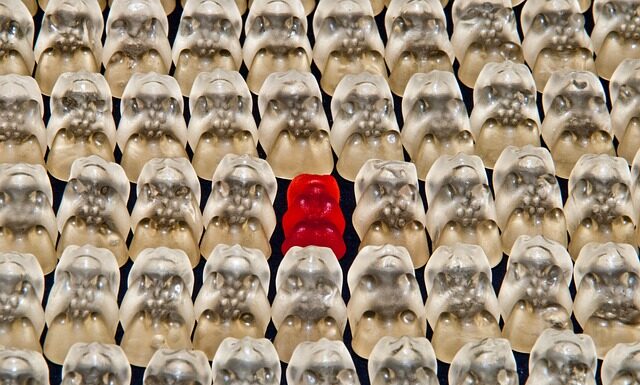 Ile żelatyny do konserwy mięsnej?