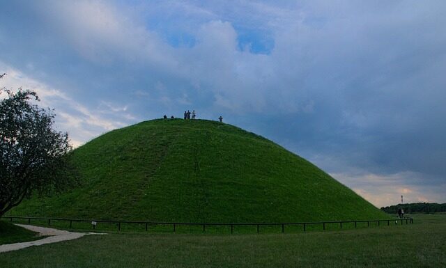 Ile kosztuje konserwa Krakus?