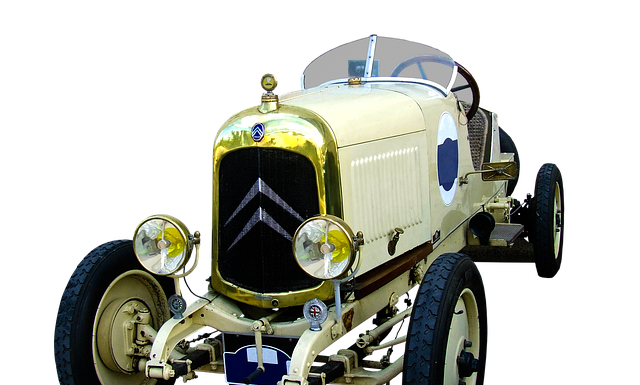 Czy w rosole jest witamina B12?