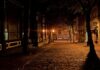 Jak długo może być włączona lampa UV w akwarium?