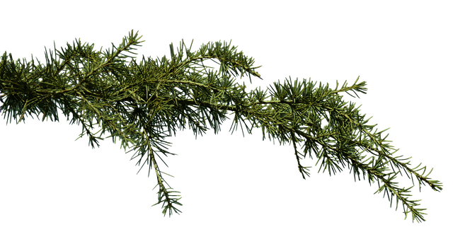 Co może być przyczyną zatkanego ucha?